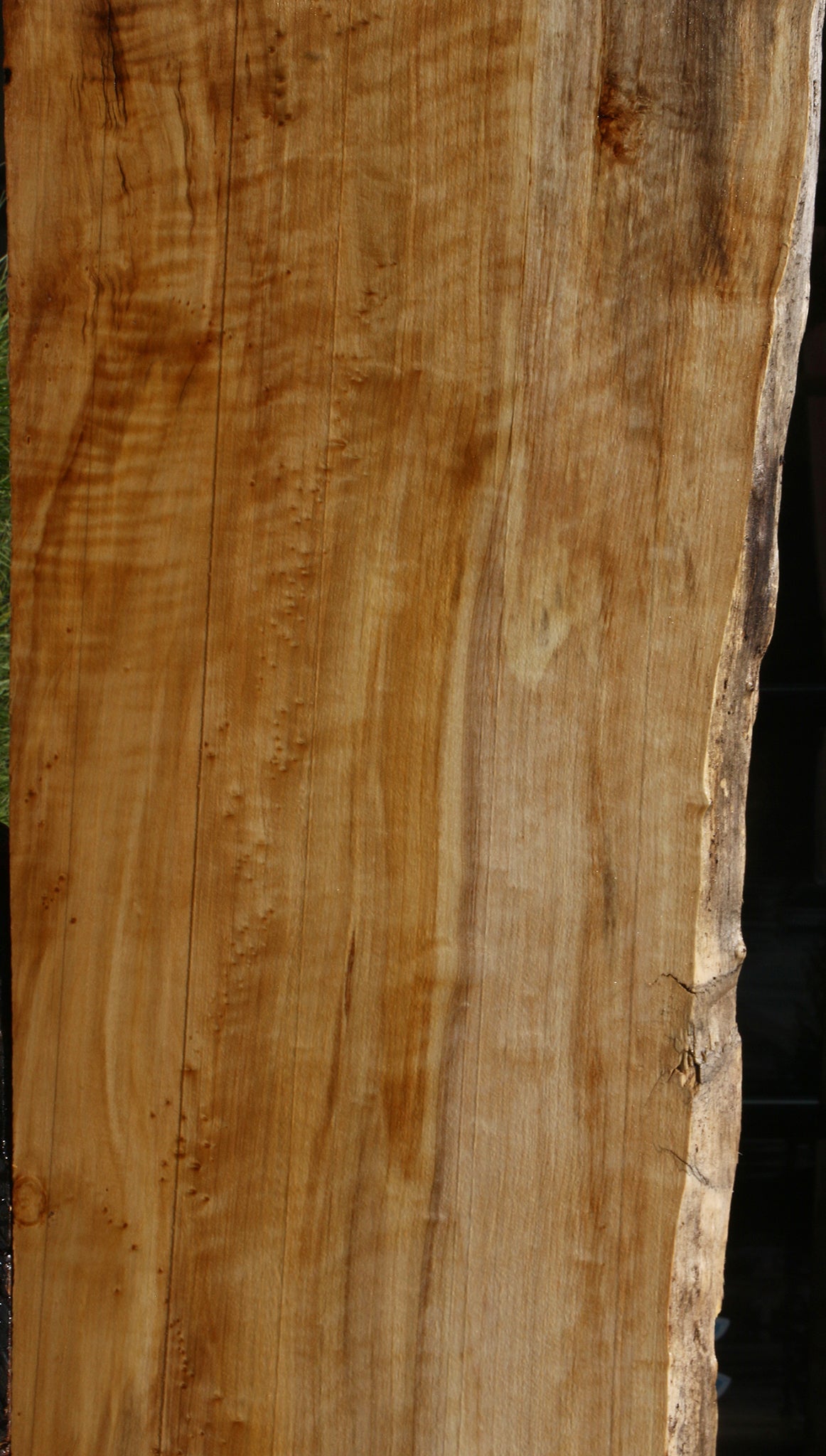 Extra Fancy Black Cottonwood Live Edge Mini Slab