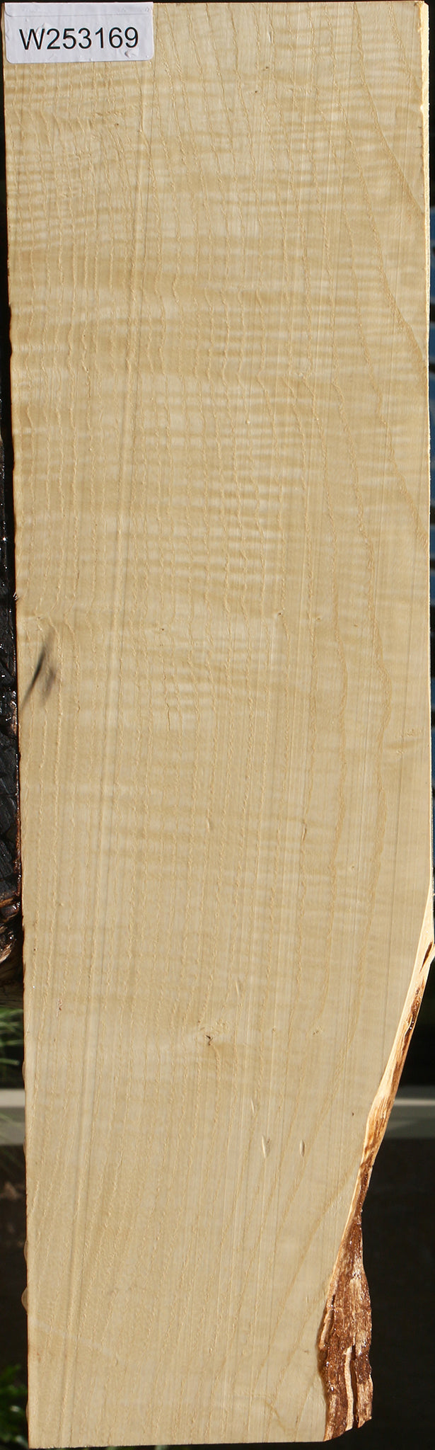Extra Fancy Modesto Ash Lumber