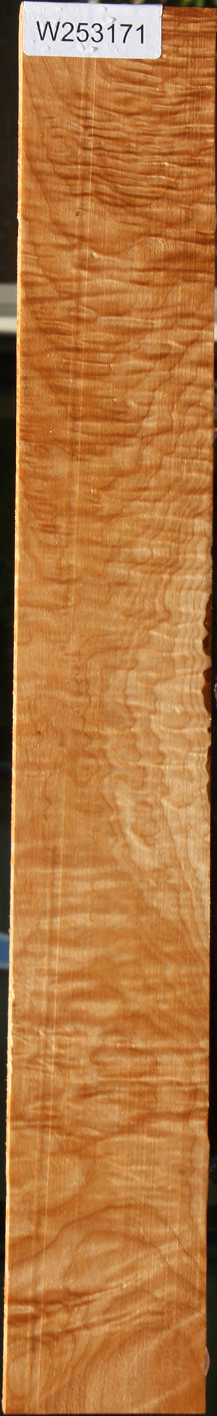 Extra Fancy Maple Lumber