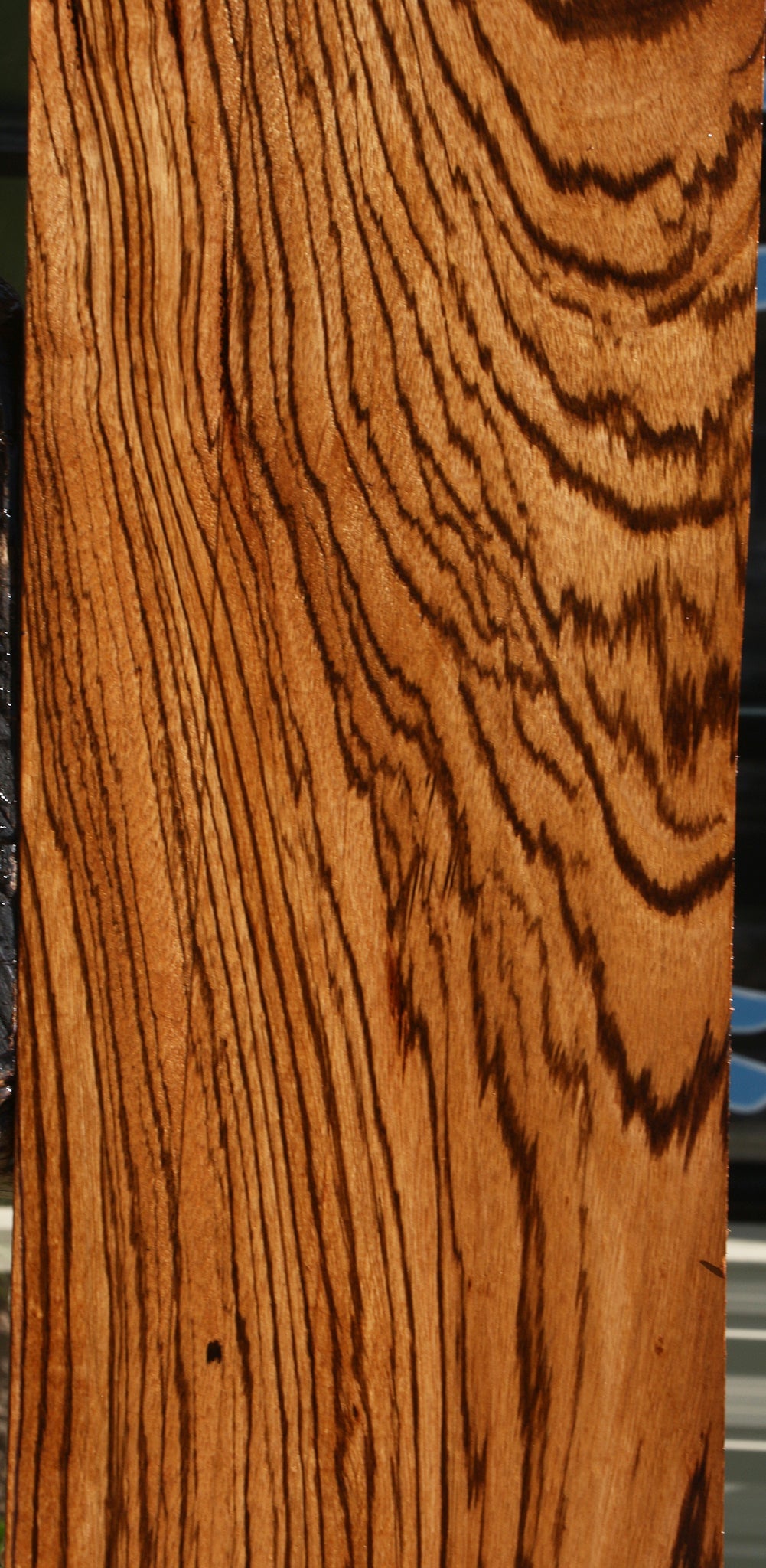 Extra Fancy Zebrawood Lumber