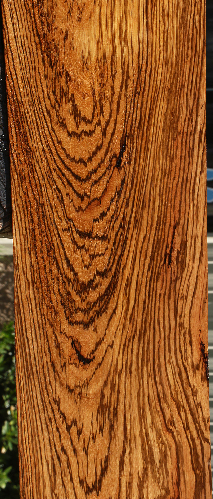 Extra Fancy Zebrawood Lumber