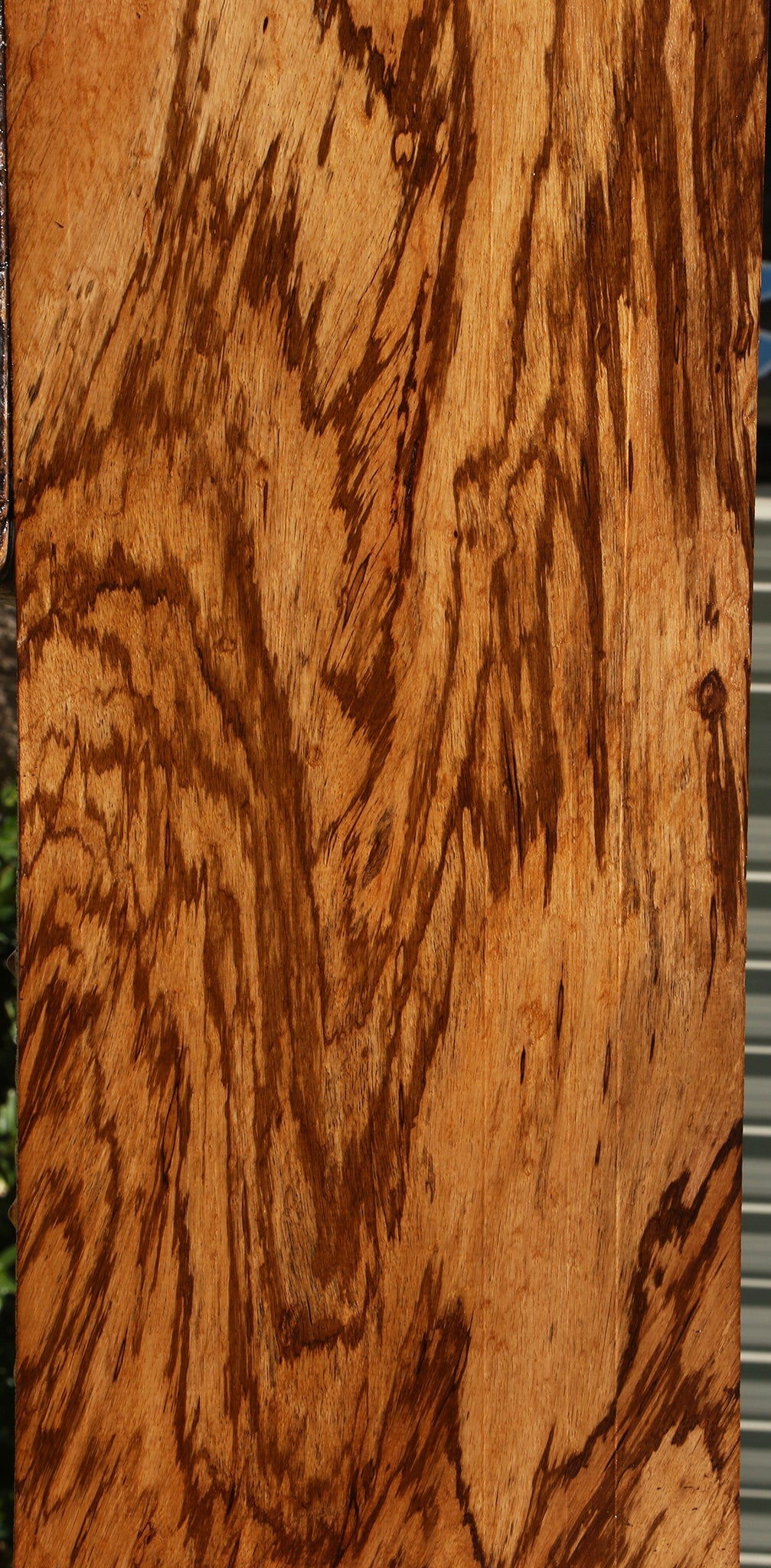 Extra Fancy Zebrawood Lumber