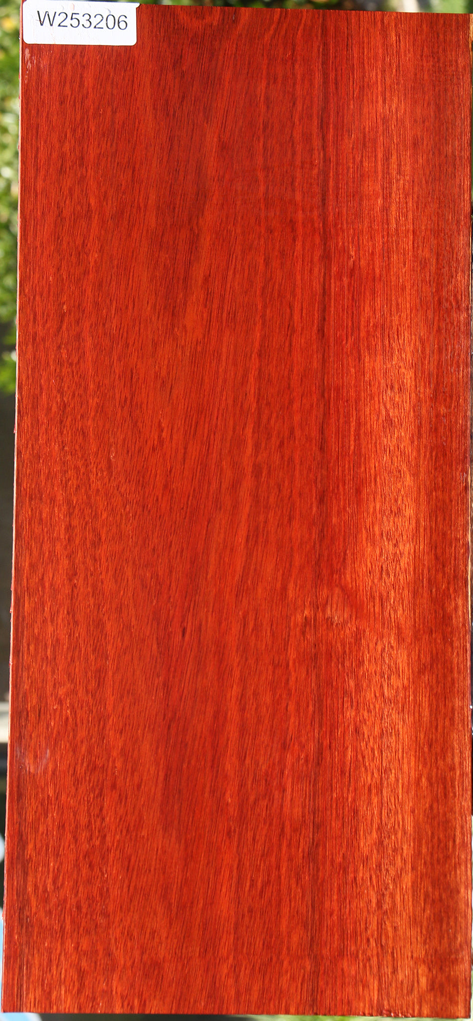 Bloodwood Electric Guitar Drop Top Billet