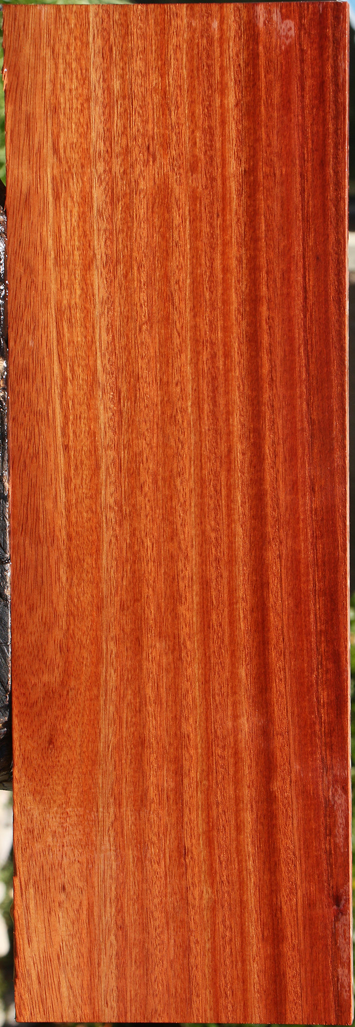 Figured Bloodwood Electric Guitar Drop Top Billet