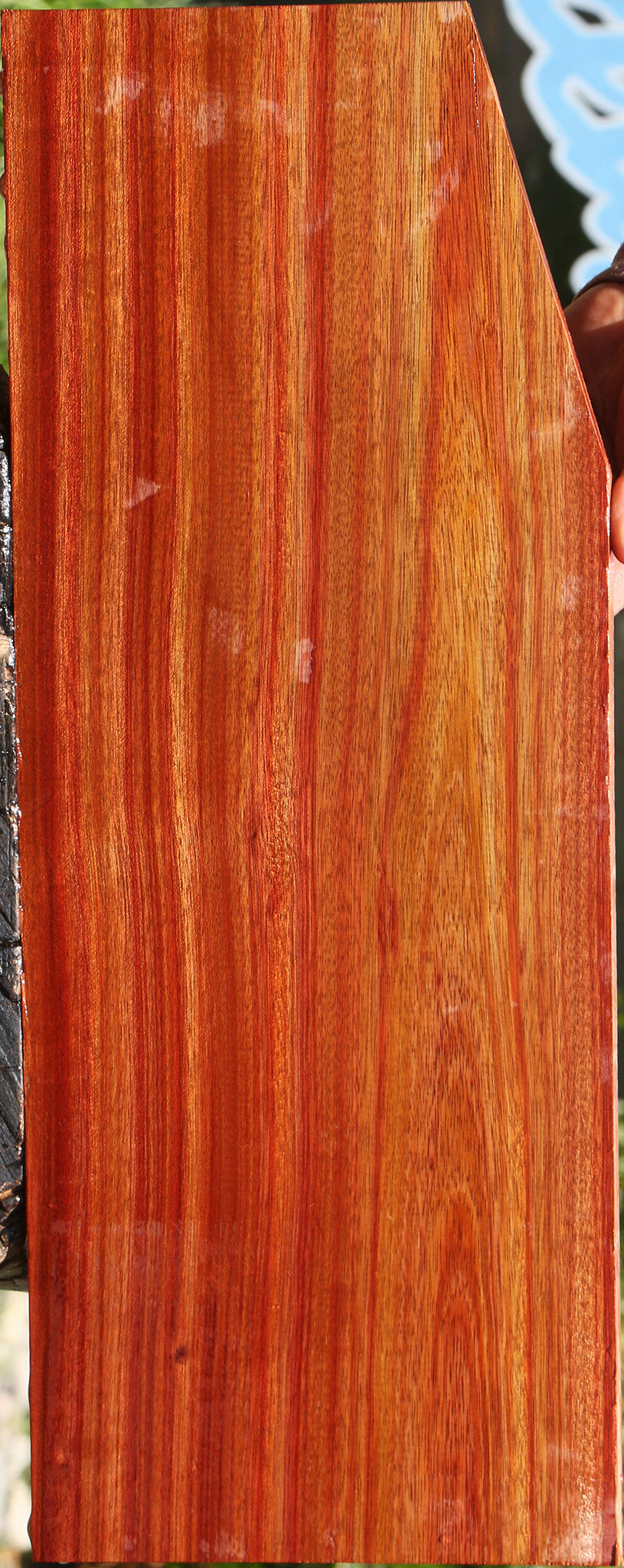 Extra Fancy Bloodwood Electric Guitar Drop Top Billet