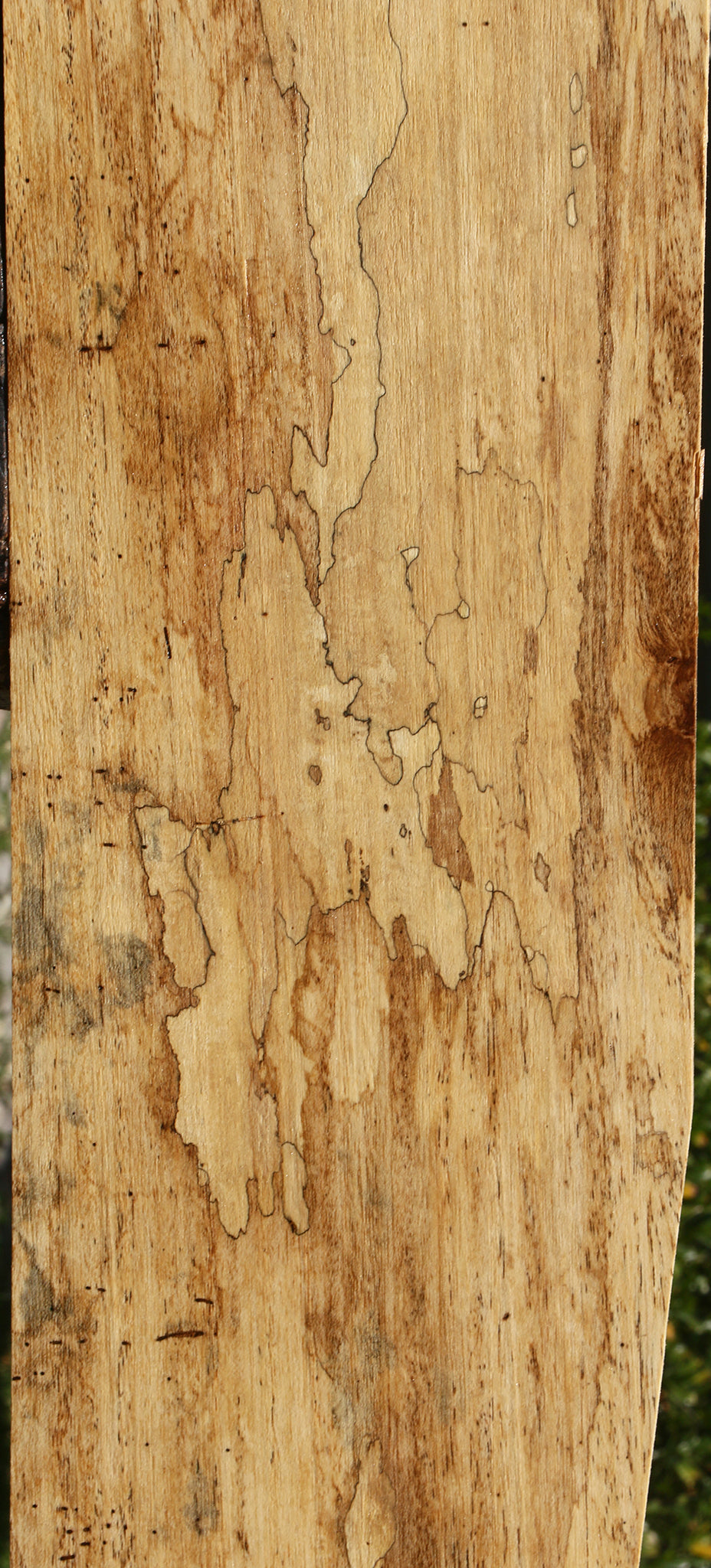 Spalted Mango Lumber