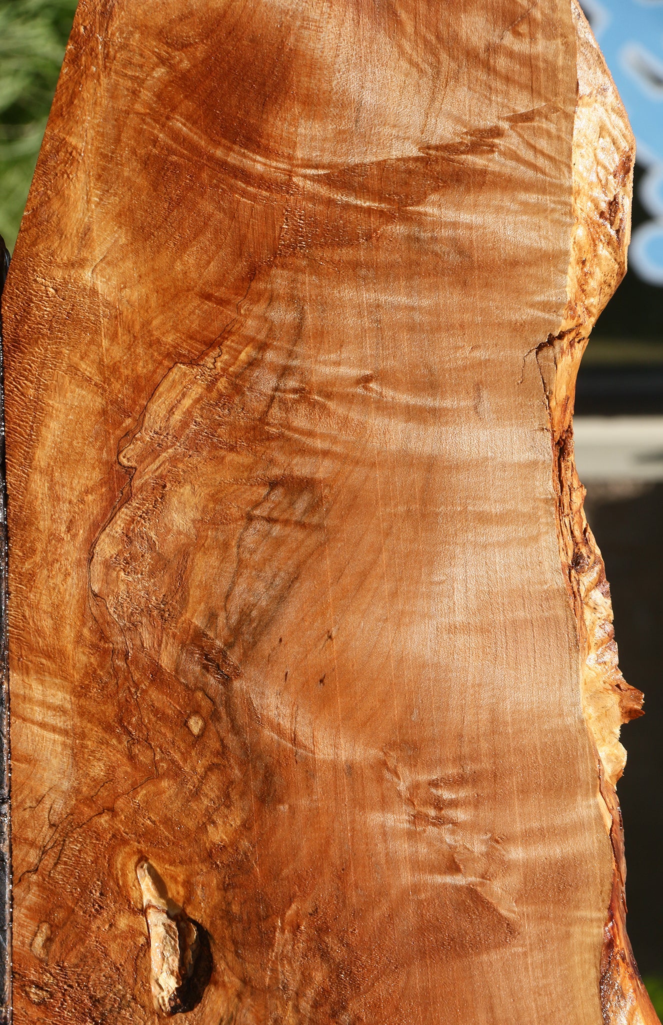 Extra Fancy Maple Live Edge Lumber