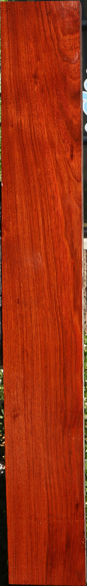 Jatoba Lumber