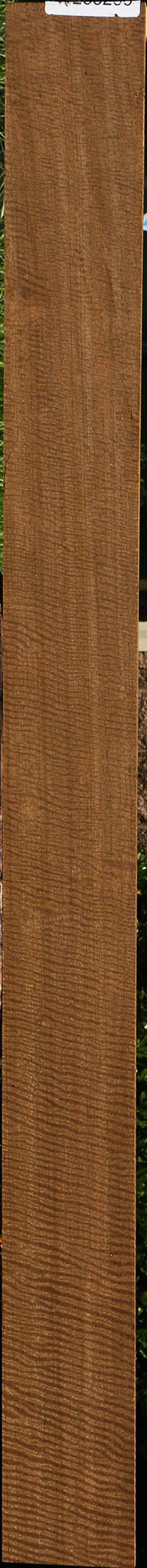 Mirindiba Micro Lumber