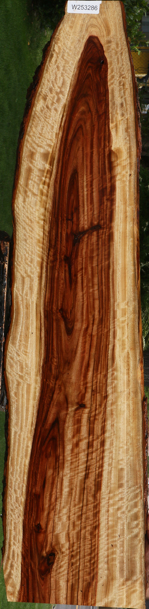 Extra Fancy Crotchwood Camphor Live Edge Lumber