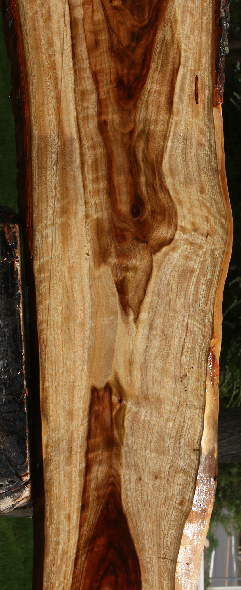 Extra Fancy Camphor Live Edge Lumber