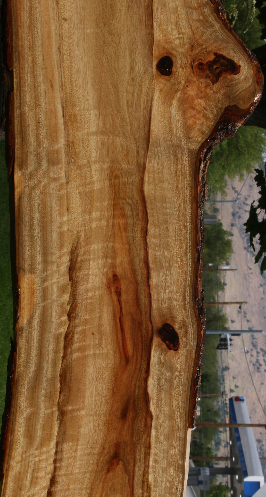 Extra Fancy Camphor Live Edge Lumber