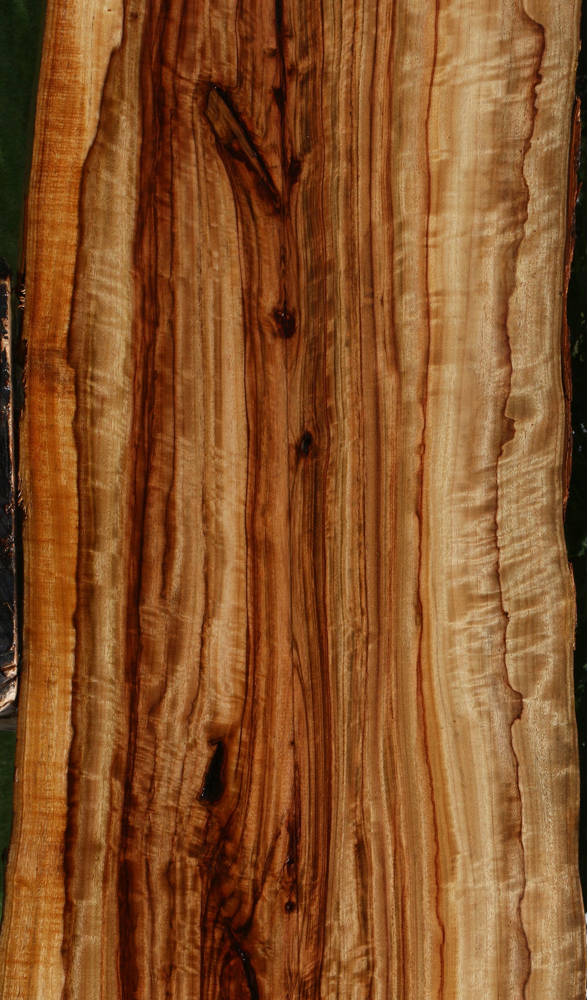 Extra Fancy Camphor Live Edge Lumber