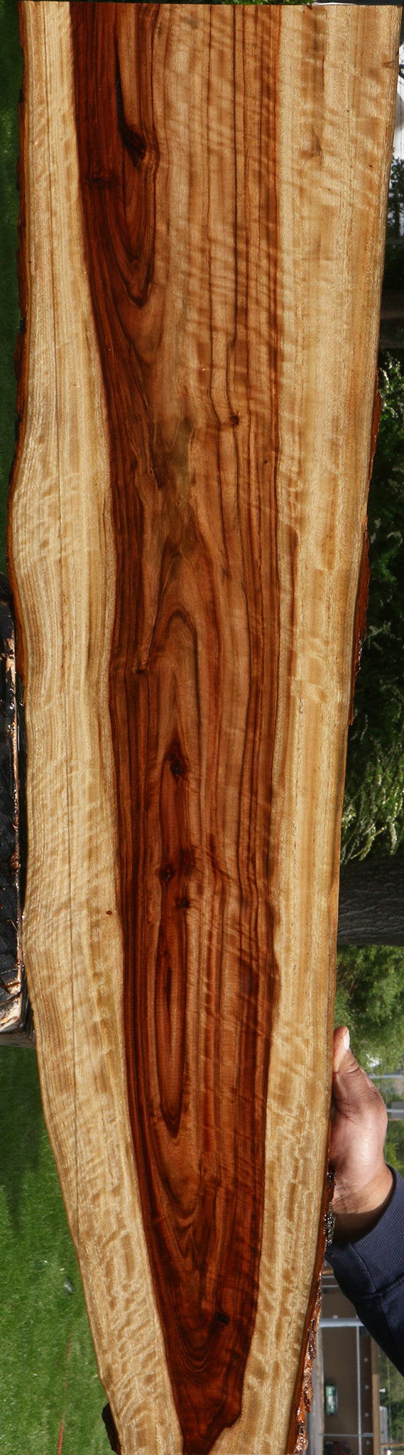 Extra Fancy Camphor Live Edge Lumber