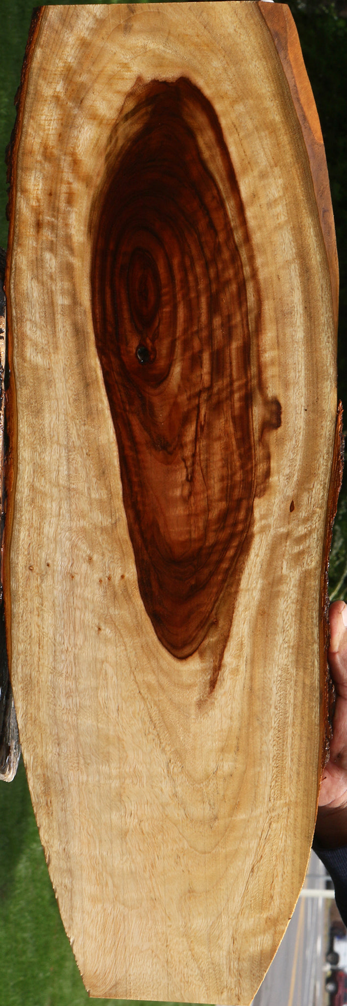 Figured Camphor Live Edge Lumber