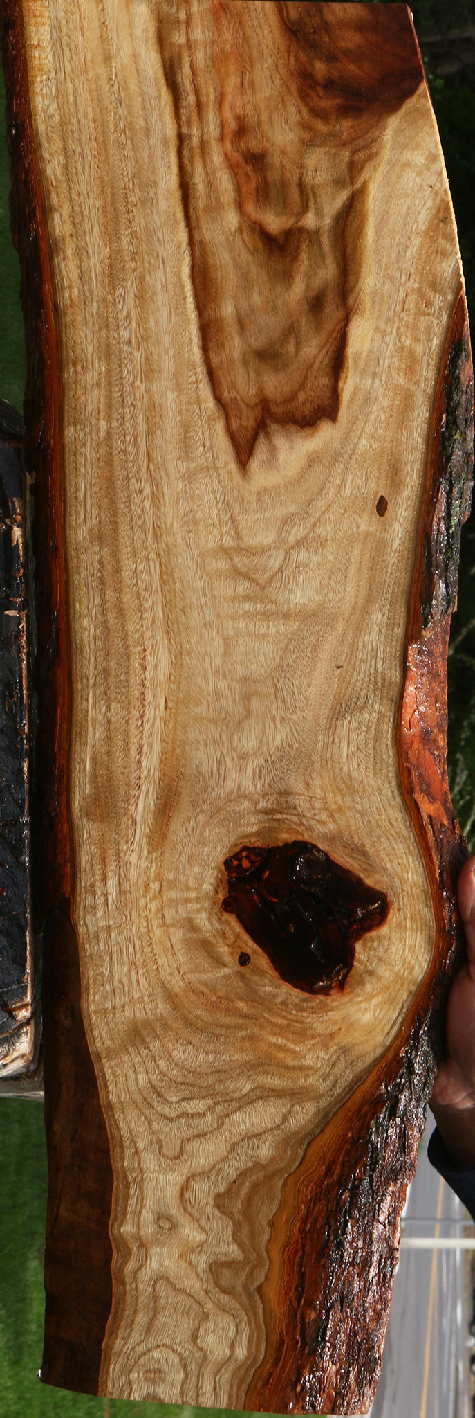 Figured Camphor Live Edge Lumber