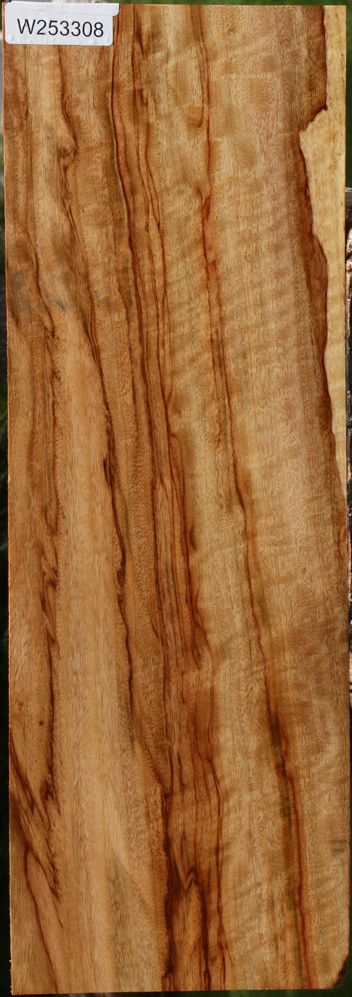 Extra Fancy Camphor Drop Top Billet
