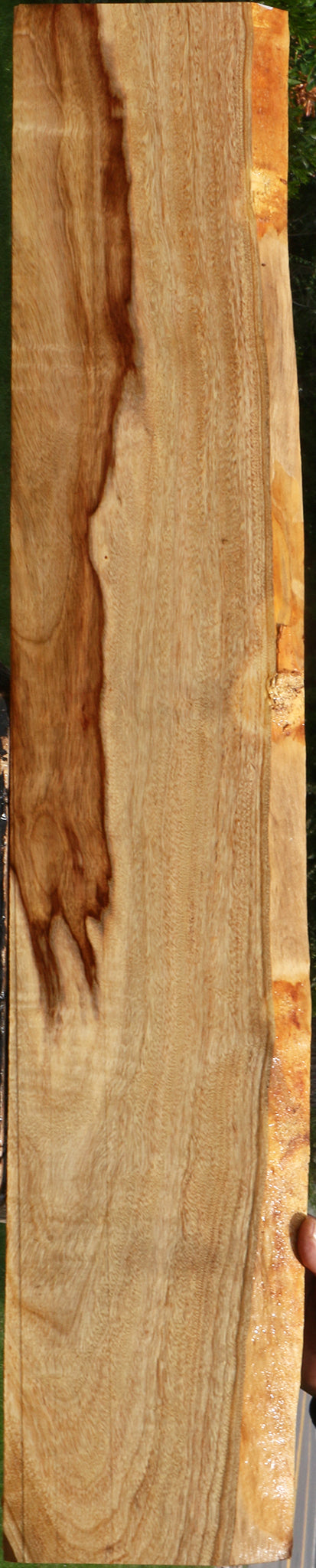 Figured Camphor Live Edge Lumber