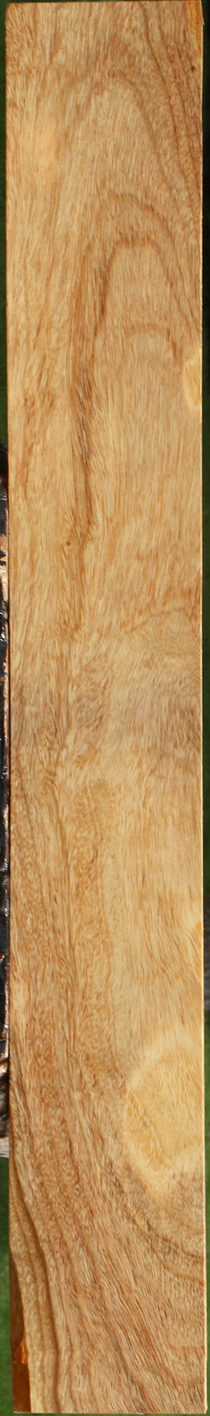 Camphor Lumber