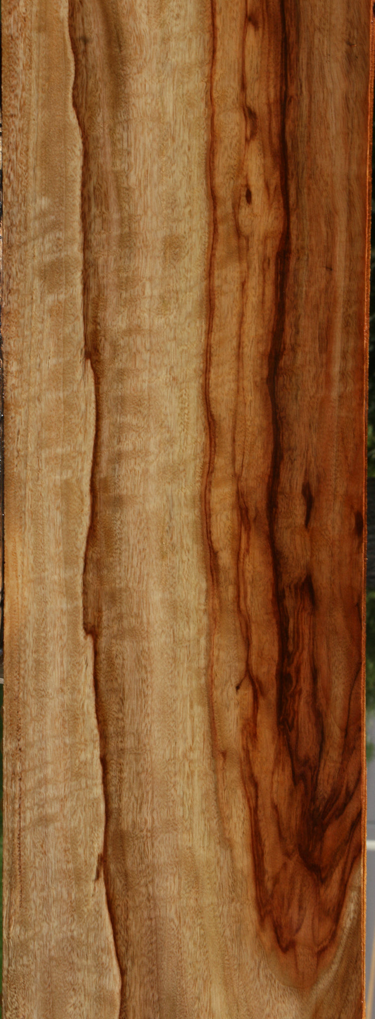 Figured Camphor Lumber