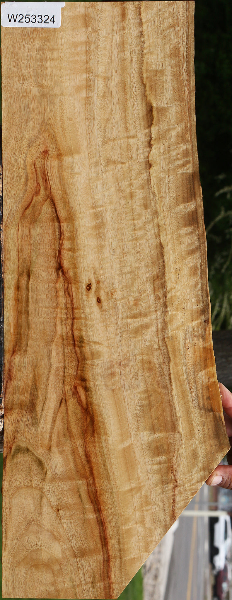 Extra Fancy Camphor Live Edge Lumber