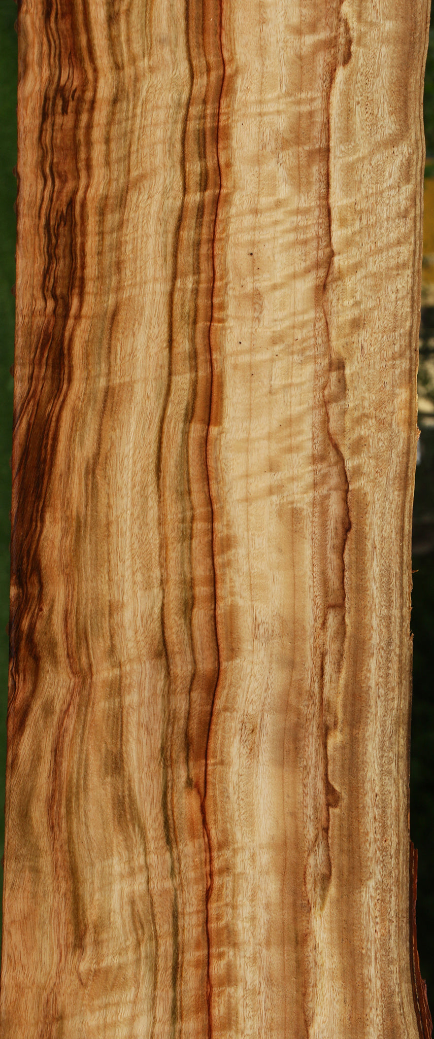 Extra Fancy Camphor Live Edge Lumber