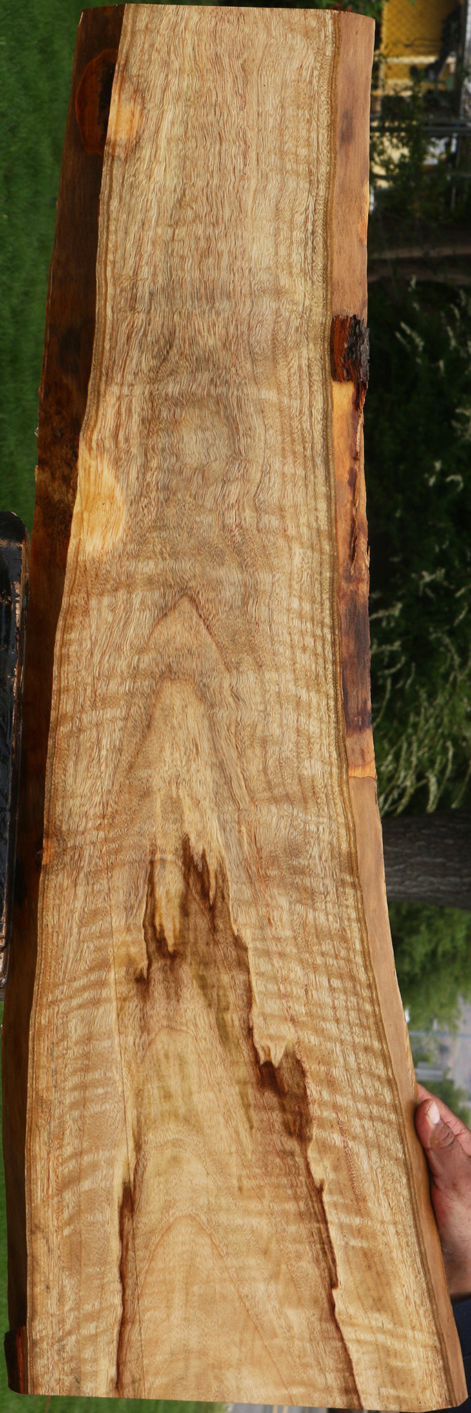 Extra Fancy Camphor Live Edge Lumber