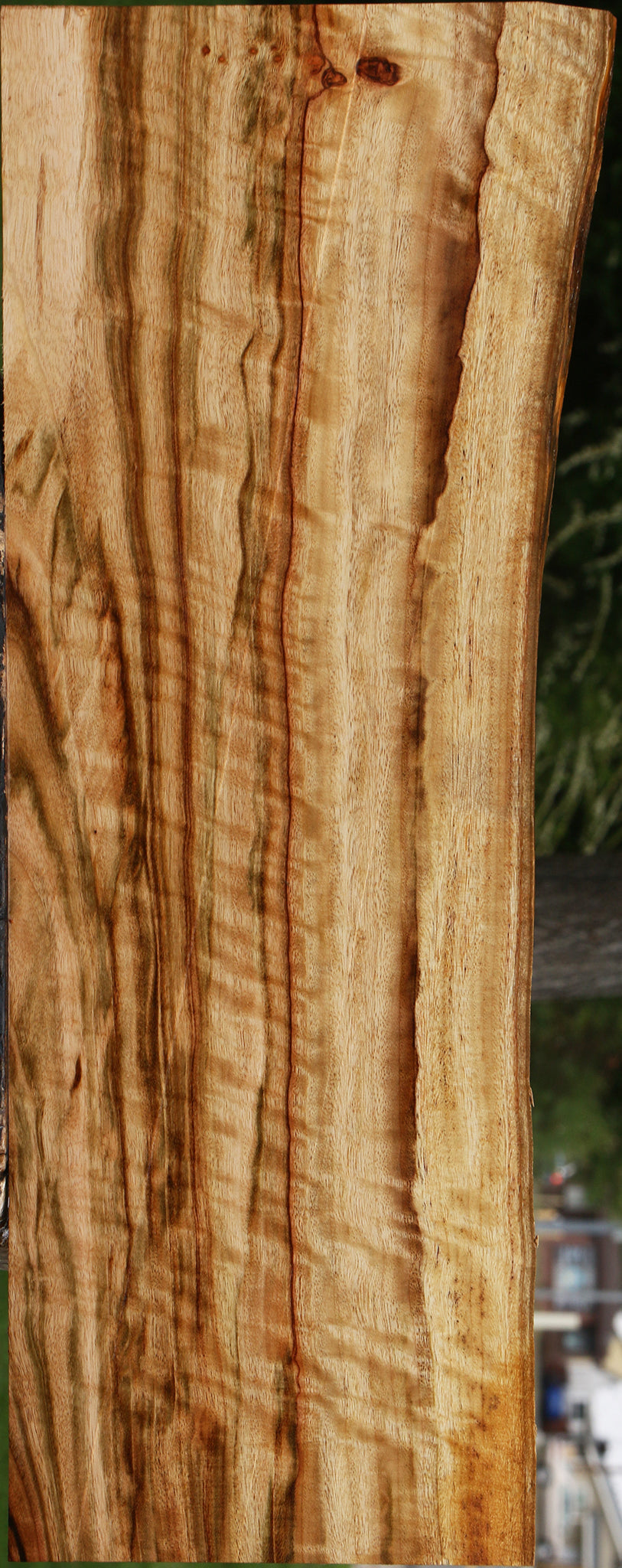Extra Fancy Camphor Live Edge Lumber