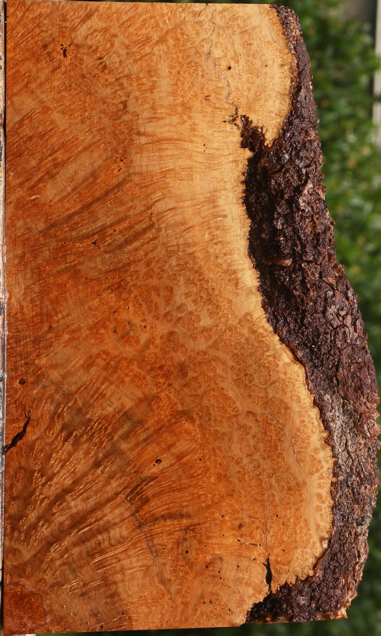 Kanista Burl Live Edge Lumber