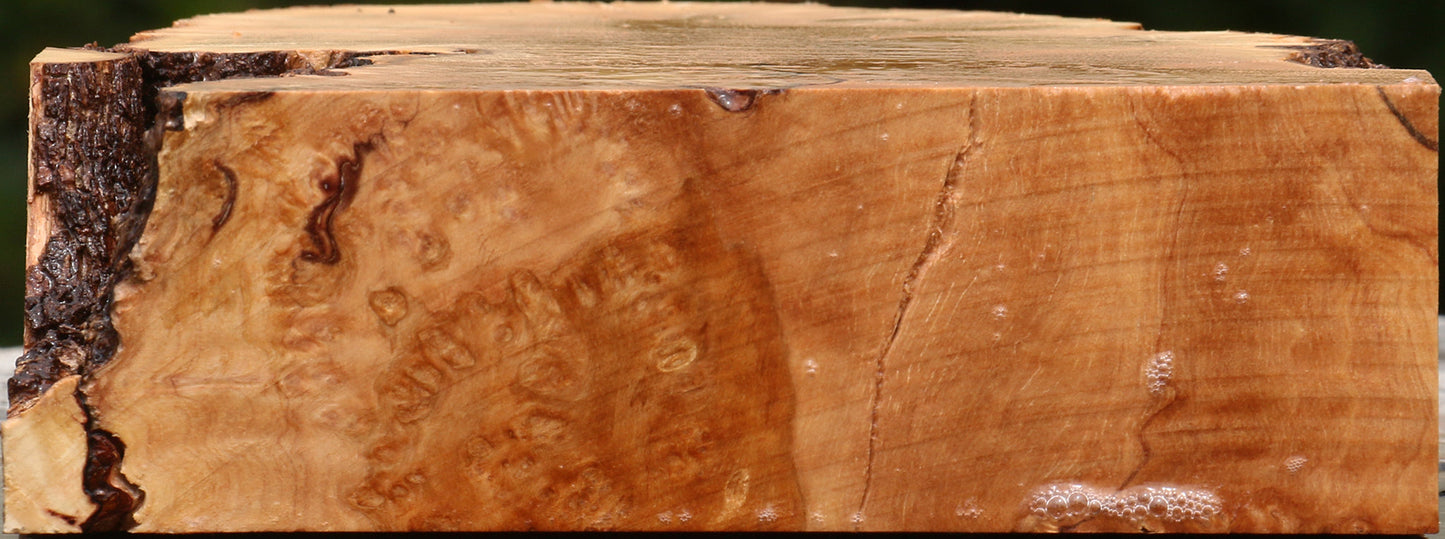 Kanista Burl Live Edge Bowl Blank