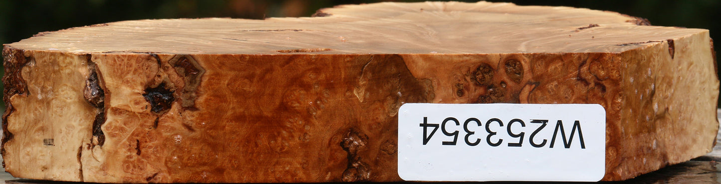 Kanista Burl Live Edge Slice