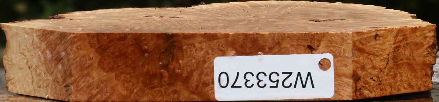 Kanista Burl Live Edge Slice