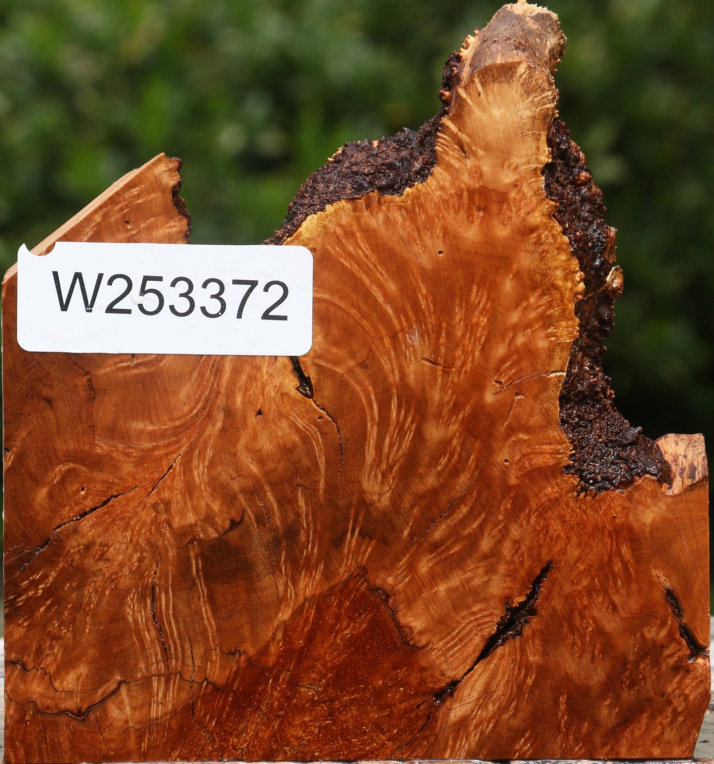 Kanista Burl Live Edge Lumber