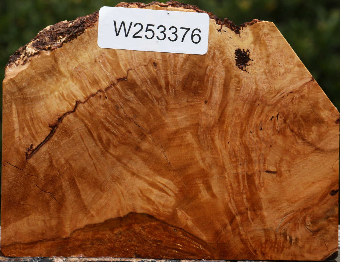 Kanista Burl Live Edge Lumber