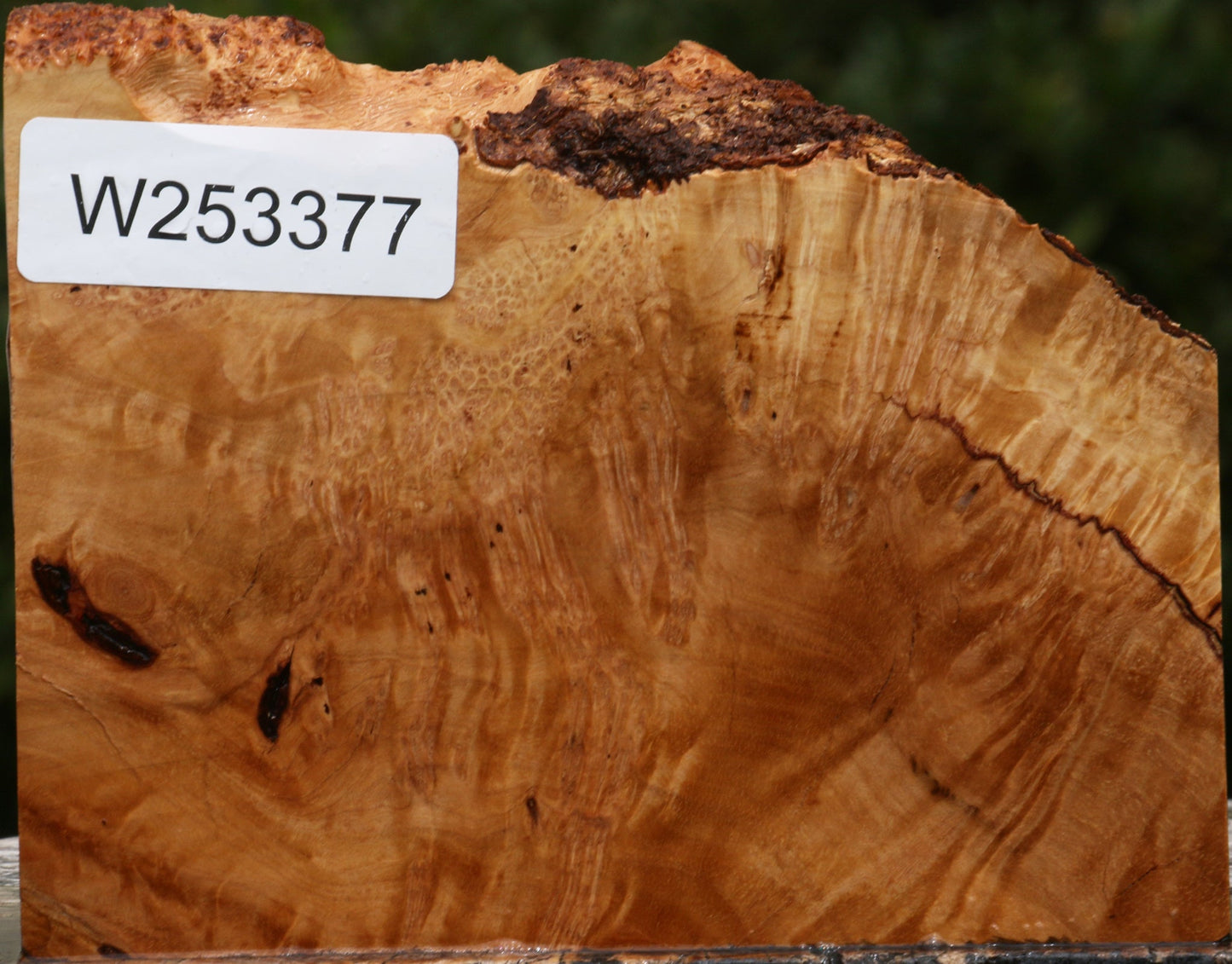 Kanista Burl Live Edge Lumber