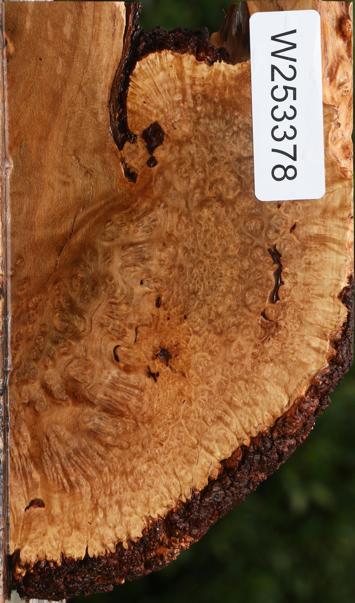 Kanista Burl Live Edge Lumber