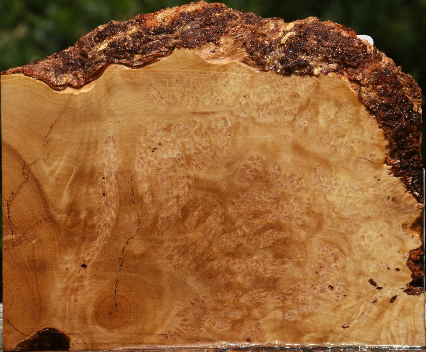 Kanista Burl Live Edge Lumber