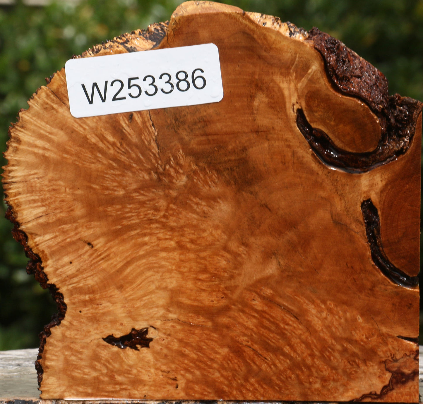 Kanista Burl Live Edge Lumber