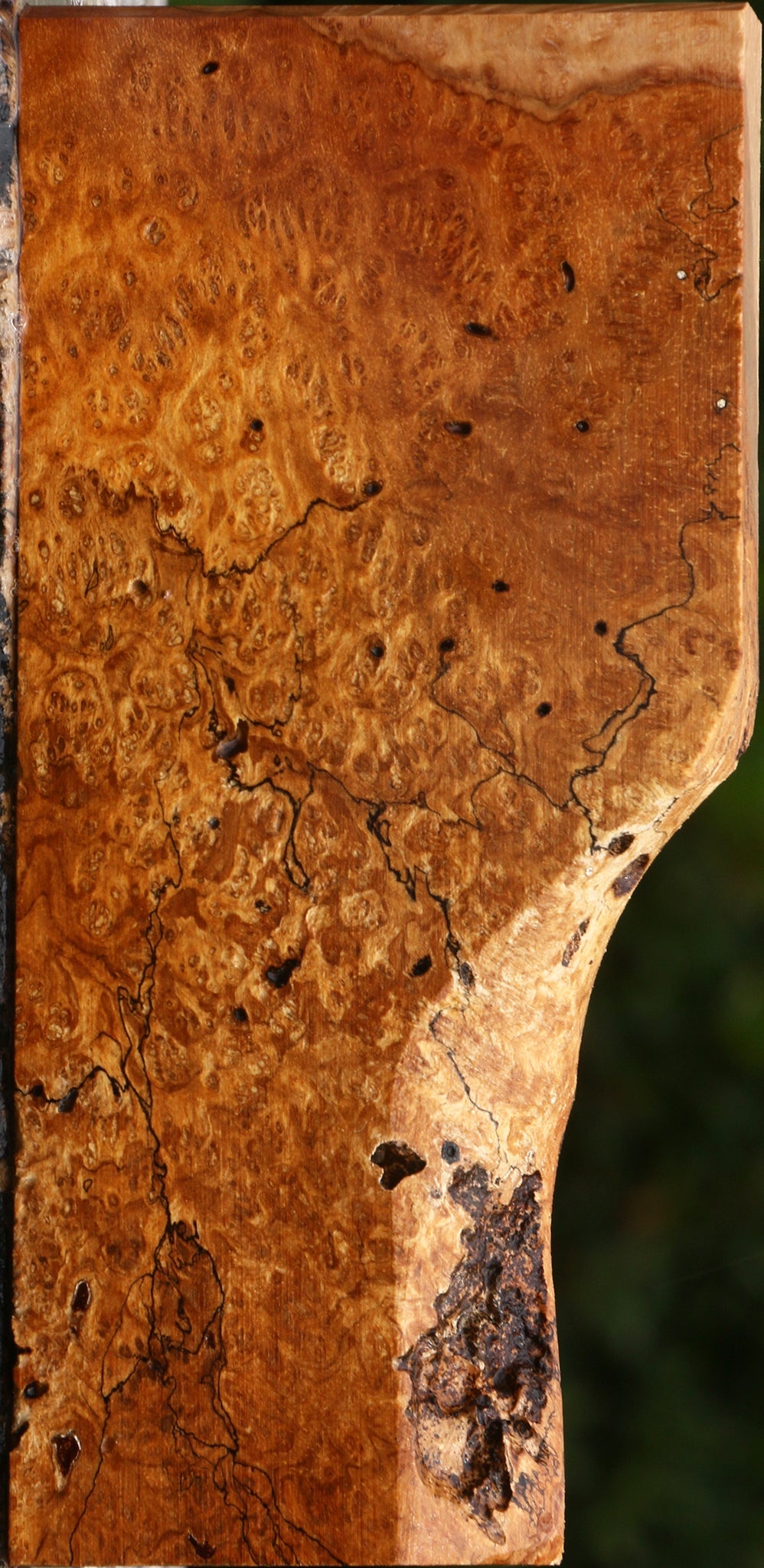 Kanista Burl Lumber