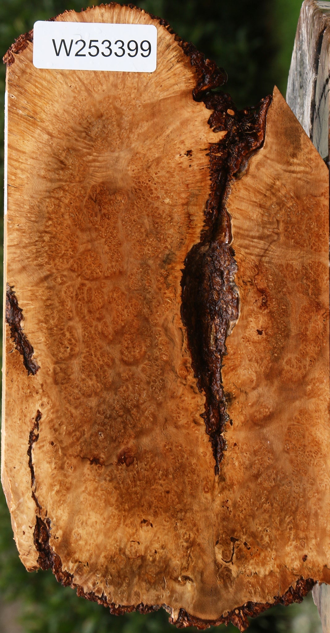 Kanista Burl Live Edge Lumber