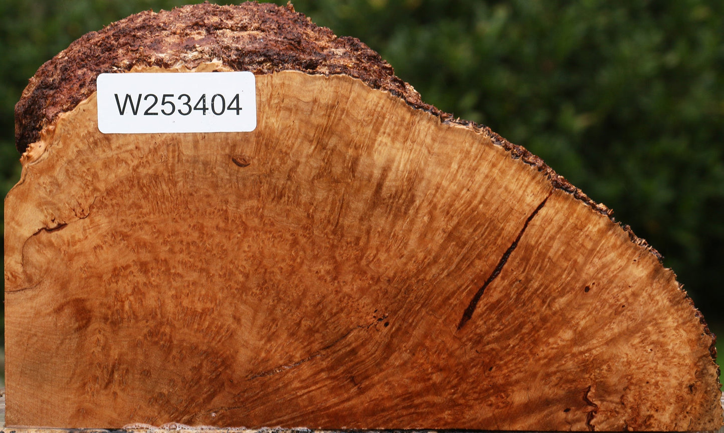 Kanista Burl Live Edge Slice