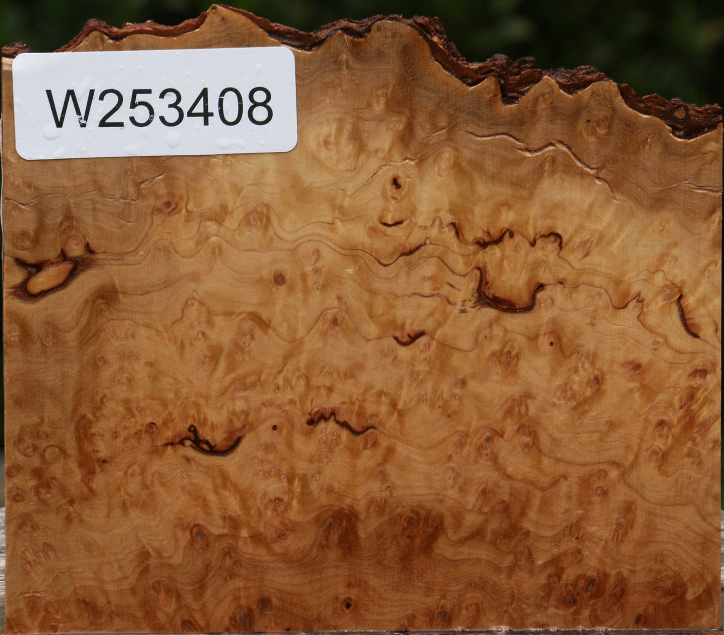 Kanista Burl Live Edge Lumber
