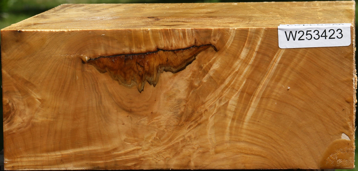 Extra Fancy Silver Maple Bowl Blank