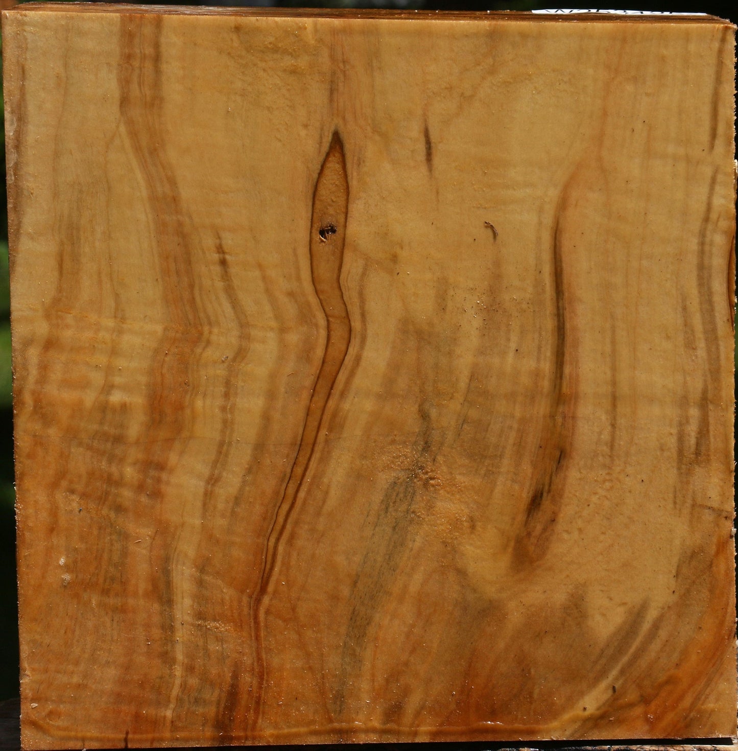Extra Fancy Silver Maple Bowl Blank