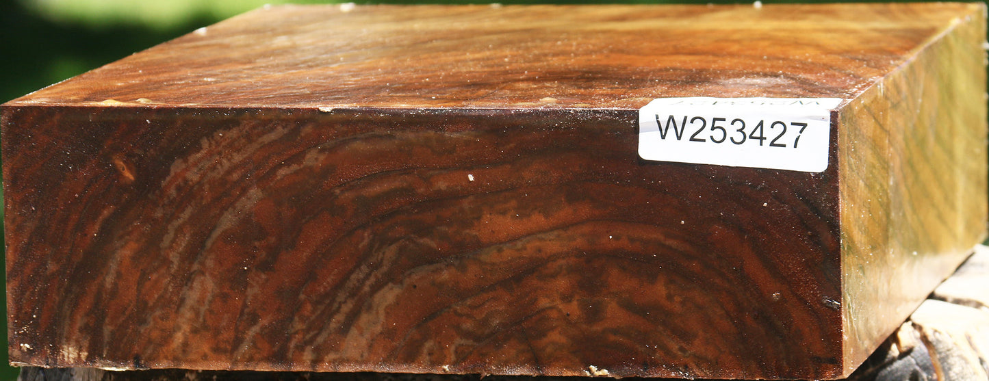 Extra Fancy Claro Walnut Bowl Blank