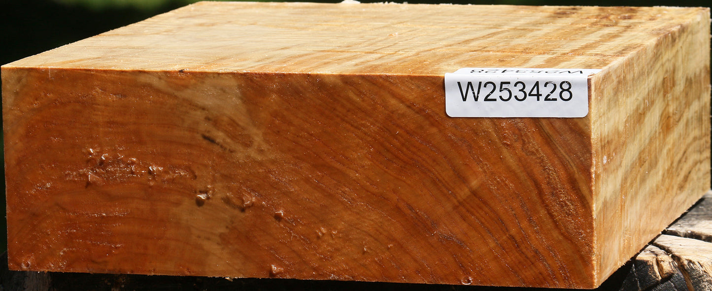 Extra Fancy Silver Maple Bowl Blank