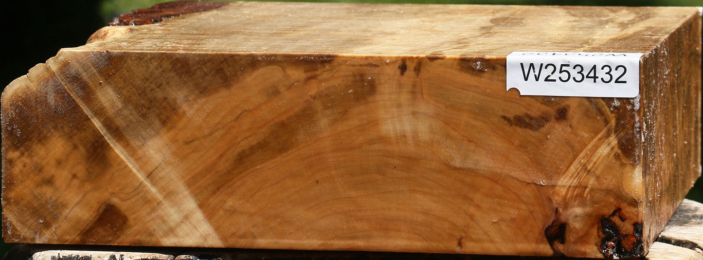 Extra Fancy Silver Maple Bowl Blank
