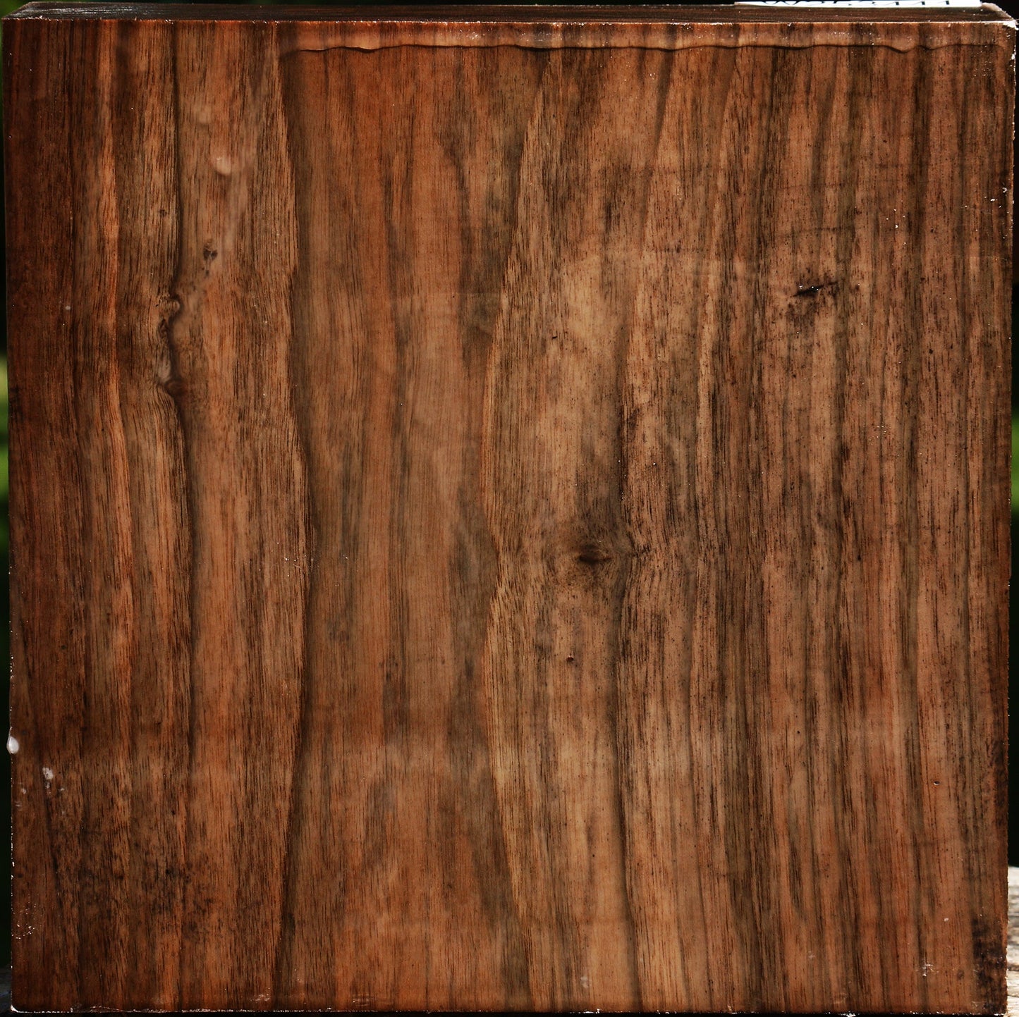 Figured English Walnut Bowl Blank