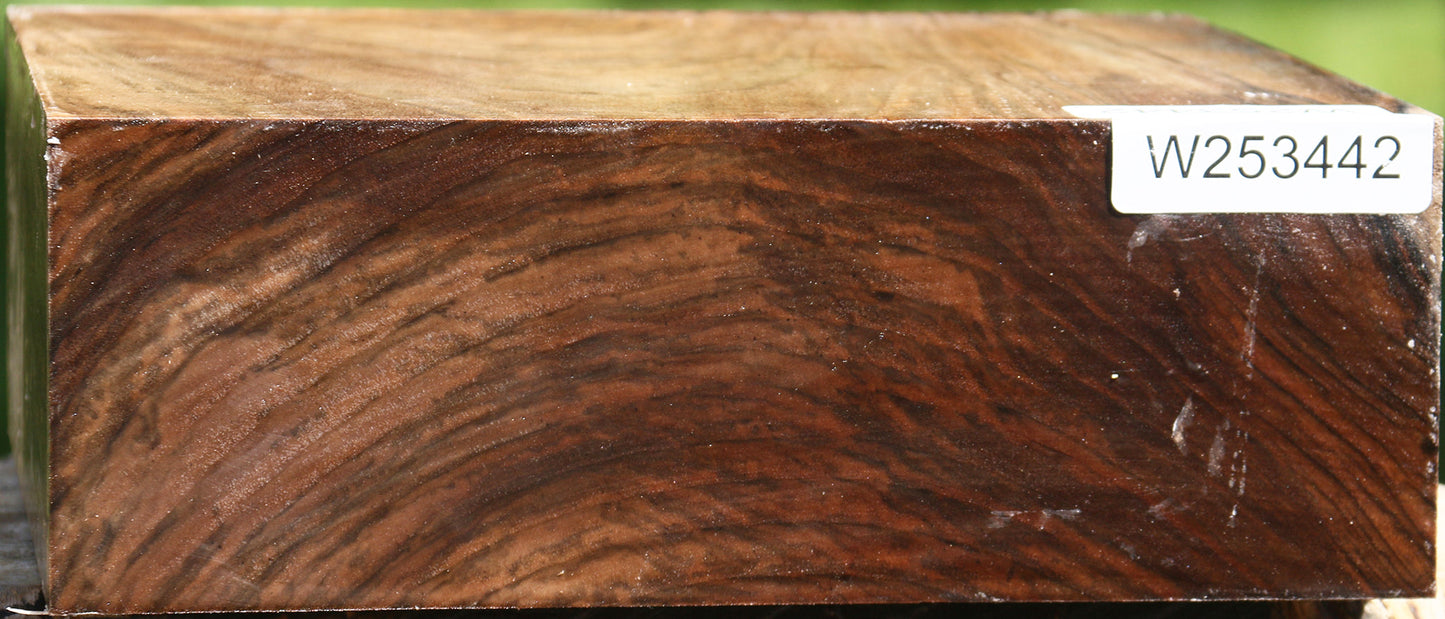 Figured English Walnut Bowl Blank