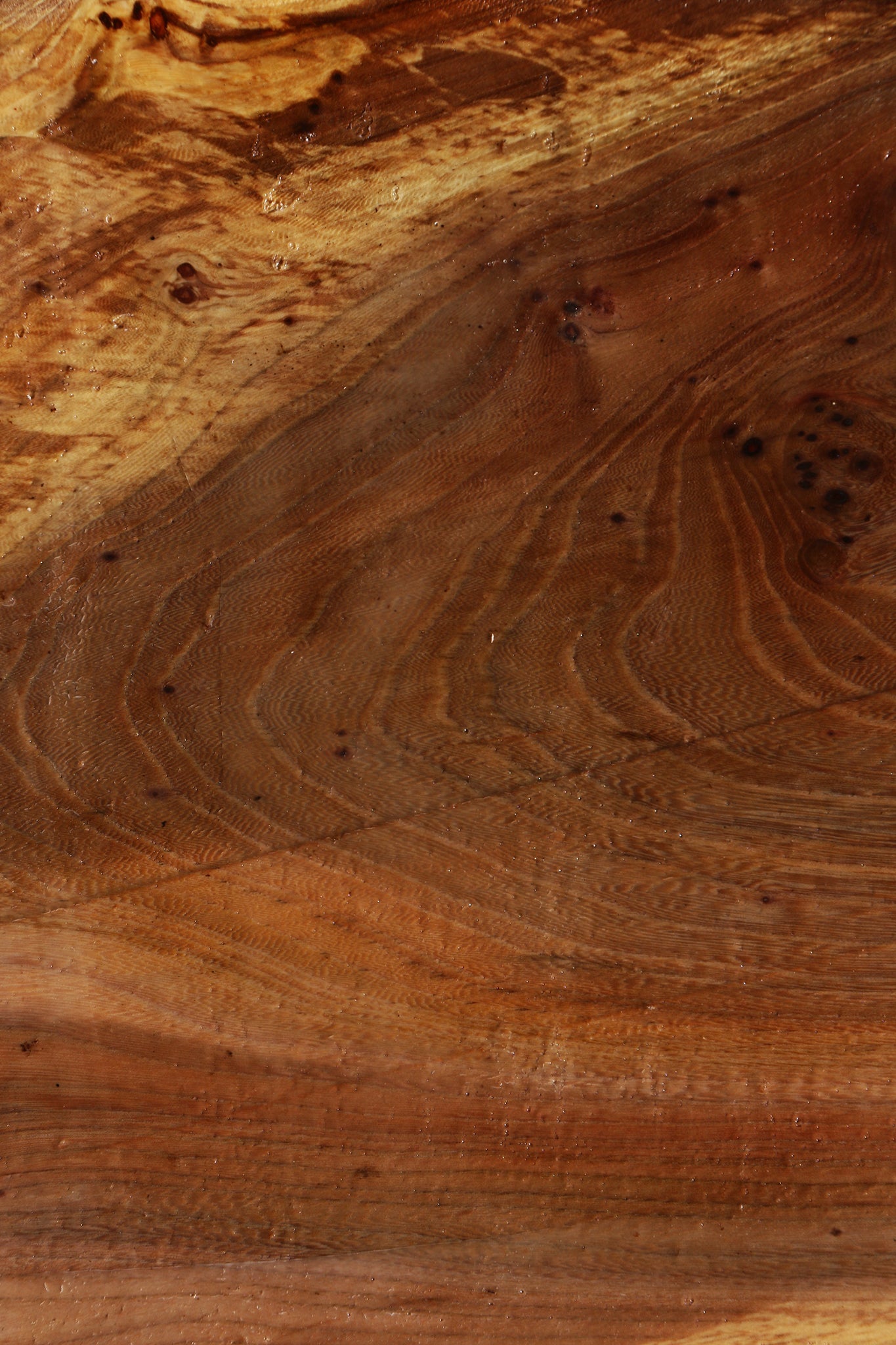 Figured Elm Burl Platter Blank